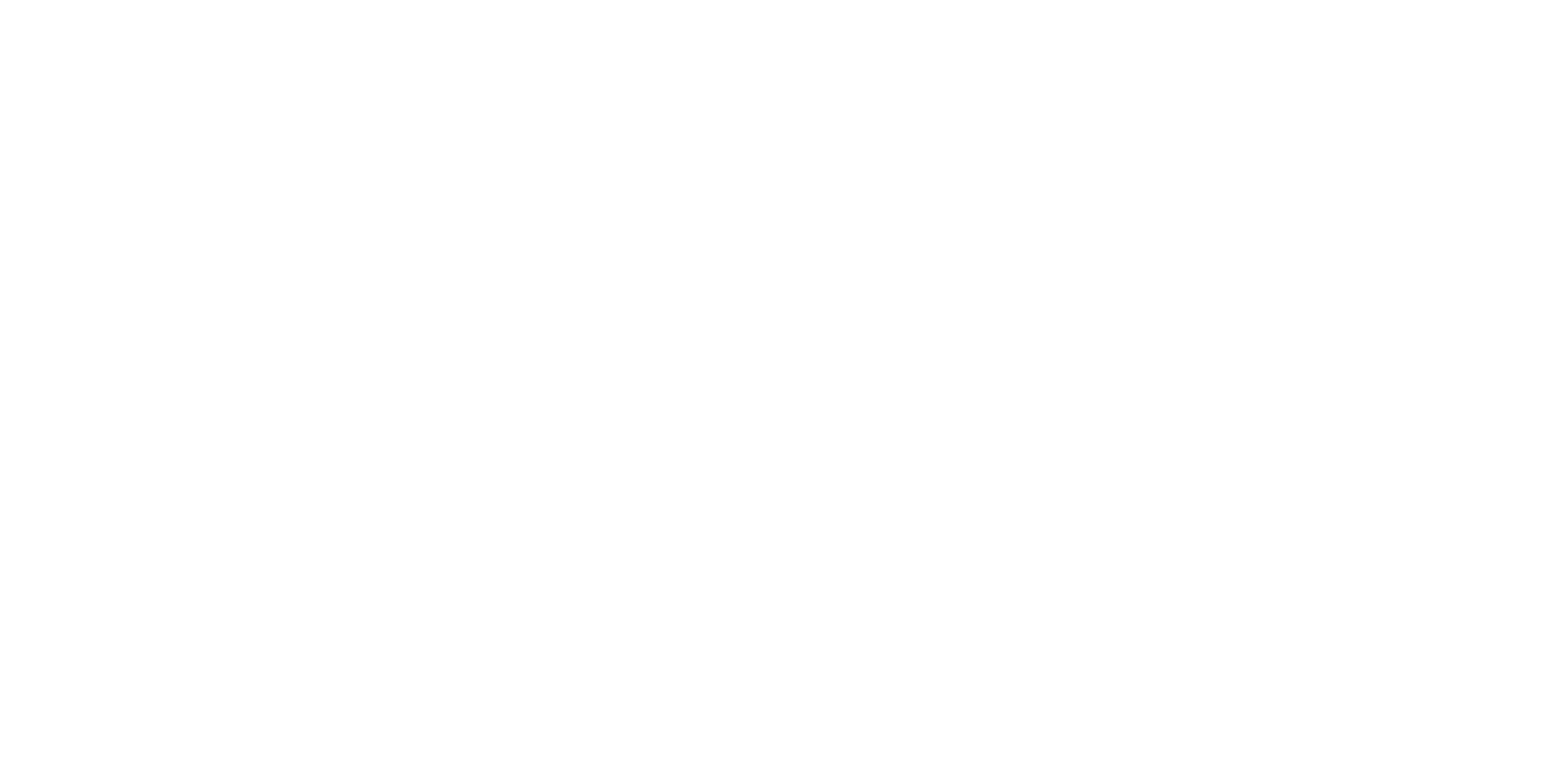eefnine logo 2
