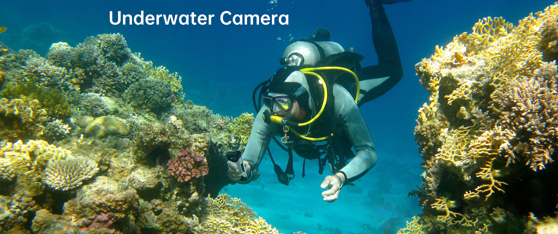 Tank Mini underwater fb